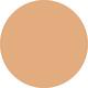 200 Pro Filt'r Soft Matte Longwear Liquid Foundation 