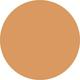 250 Pro Filt'r Soft Matte Longwear Liquid Foundation 